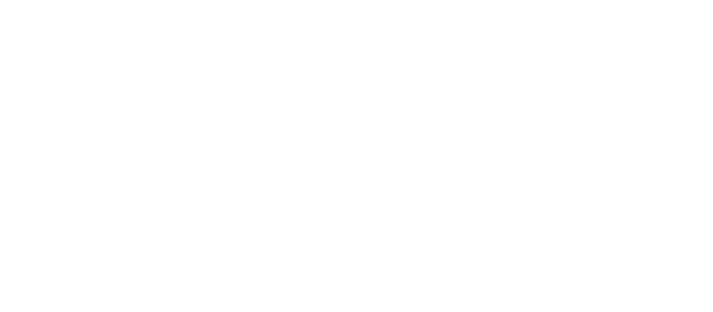 The Zone Logo